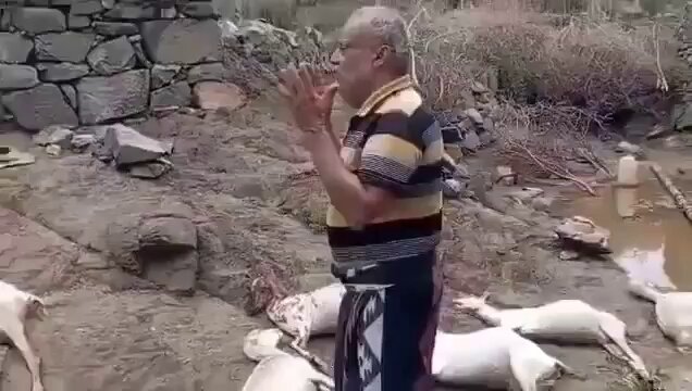 صاعقة رعدية تفجع مربي مواشي في حجة وتقضي على مصدر رزقه بالكامل 1