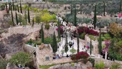 متنزه السكون في تعز… وجهة جبلية ساحرة تتحول إلى ملاذ صيفي يجذب الزوار من مختلف المحافظات 2
