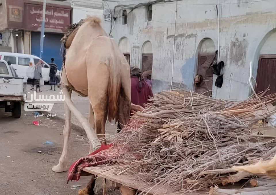 الحطب يعود إلى شوارع عدن.. أزمة الغاز تعيد سكان المدينة إلى زمن المواقد القديمة 1