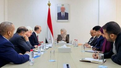وزيرة الخارجية تبحث في عدن مع اليونيسيف تعزيز الشراكة والاستجابة الإنسانية 2