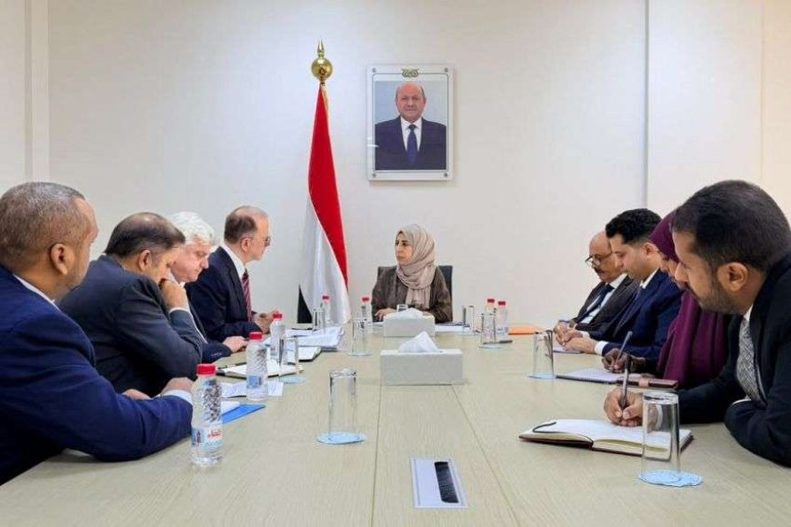 وزيرة الخارجية تبحث في عدن مع اليونيسيف تعزيز الشراكة والاستجابة الإنسانية 1