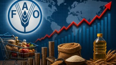 ارتفاع في أسعار الغذاء العالمية.. الحبوب والزيوت تقفز لأعلى مستوى منذ 3 سنوات 5