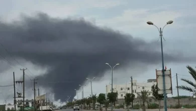 تطور خطير قرب باب المندب.. الحوثيون يوسعون سيطرتهم على الساحل الغربي لليمن 2