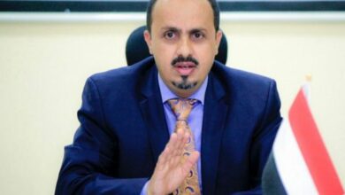 الإرياني يتحدث عن تطورات ميدانية جديدة في تعز والساحل الغربي 2