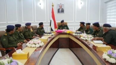 وزير الداخلية يؤكد رفع الجاهزية الأمنية وتعزيز حماية المدن والمديريات المحررة 2