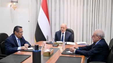 رئيس مجلس القيادة: عملية "فجر اليمن" ماضية حتى تحقيق أهدافها الكاملة 4