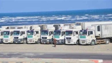 بدعم من الملك سلمان.. وصول شحنات إغاثية إلى عدن لدعم الأسر المحتاجة 2