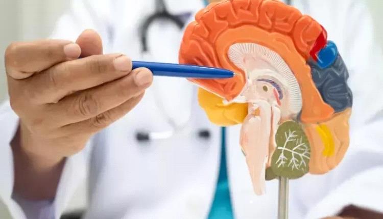 طبيب أعصاب يحذر: 7 عادات يومية تدمر صحة الدماغ دون أن تشعر! 1